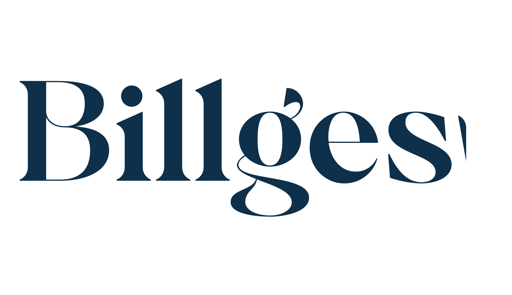 Billgest, serif font preview