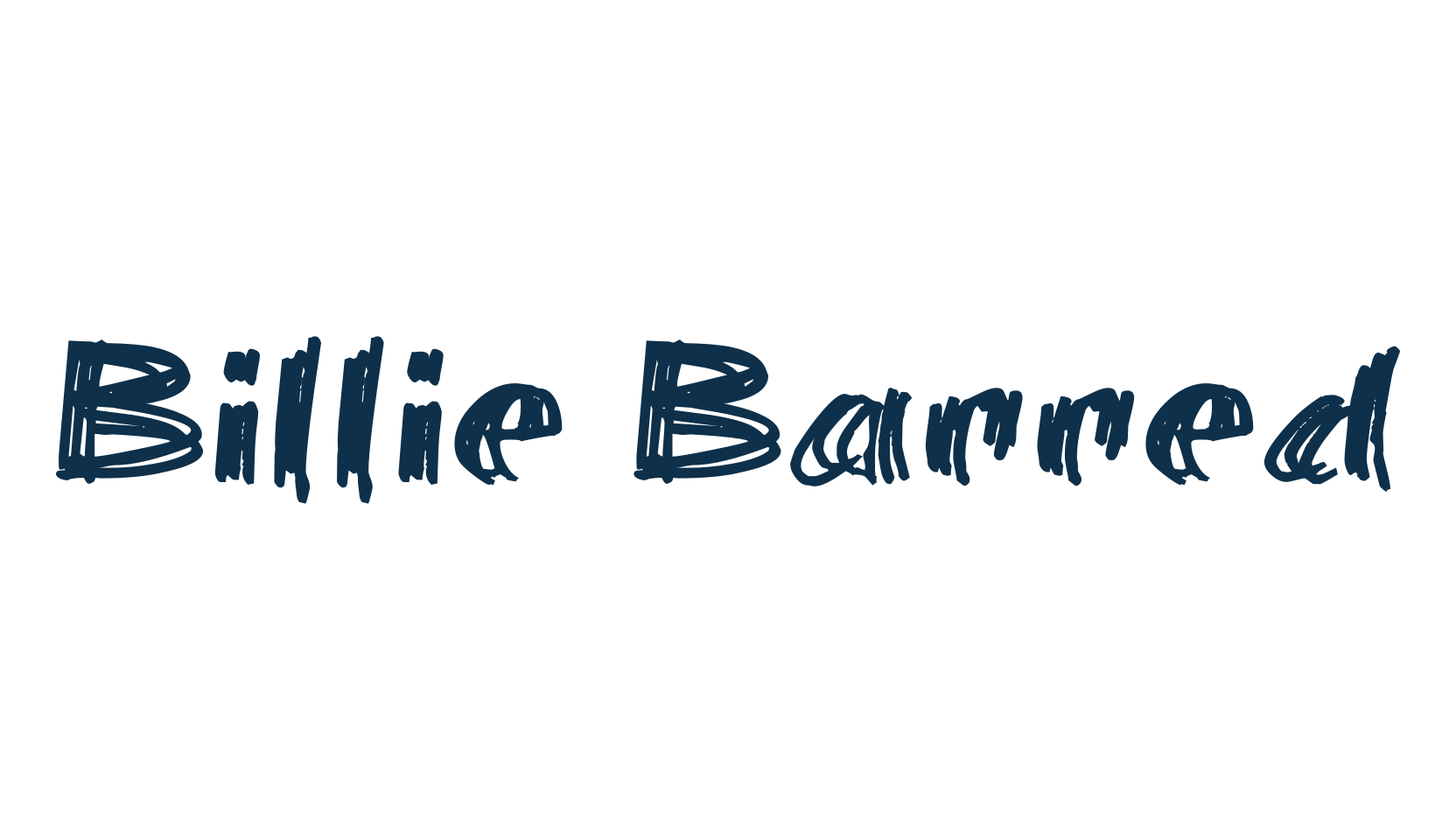 Billie Barred, script trash fancy decorative calligraphy font preview