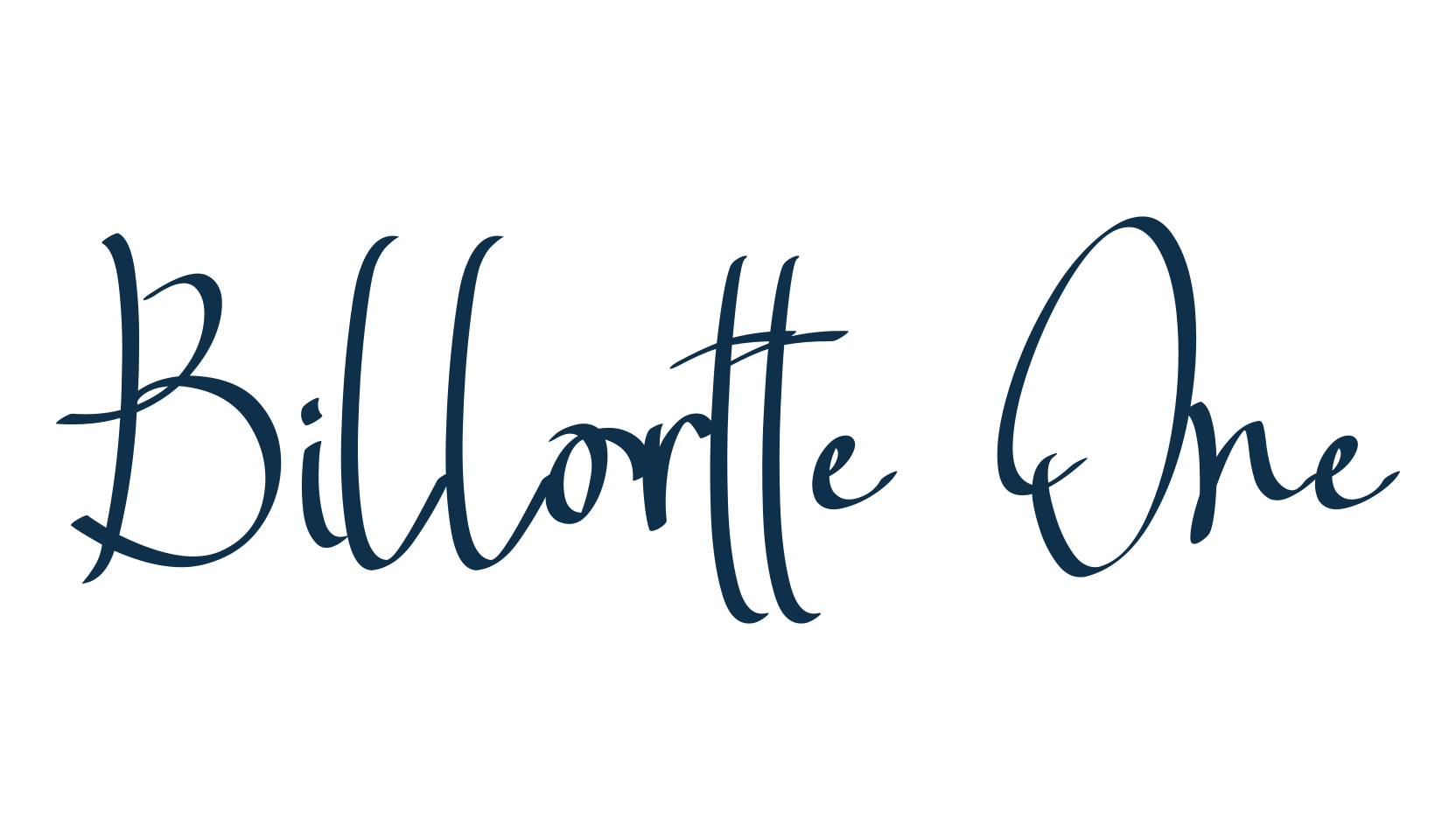 Billortte One, script handwritten fancy decorative calligraphy font preview