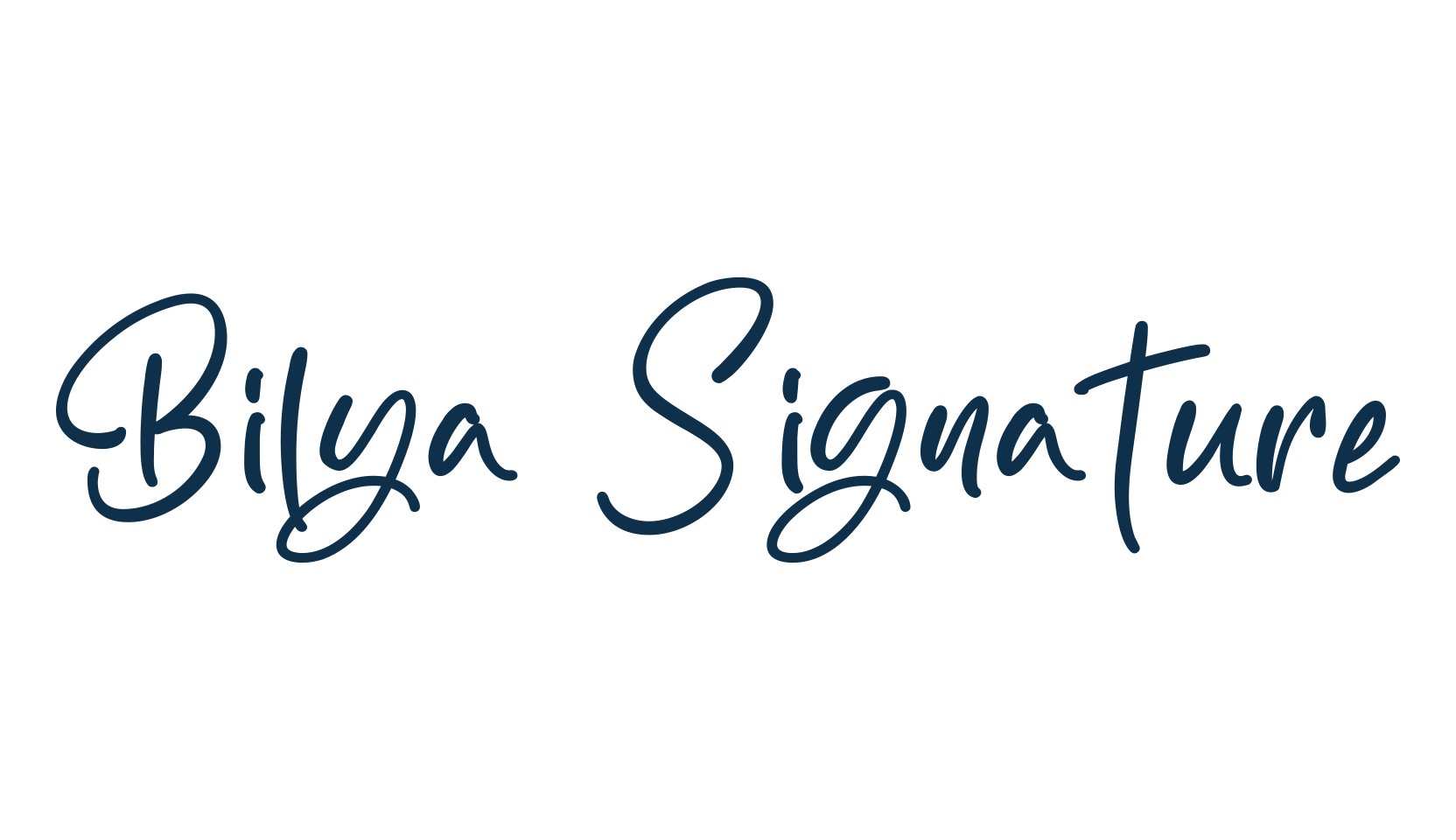 Bilya Signature, script handwritten fancy decorative calligraphy font preview