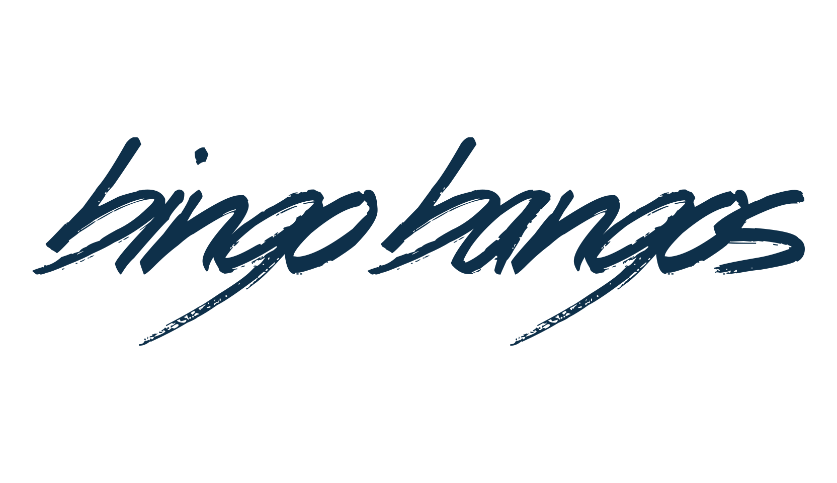 Bingo Bangos, script brush fancy decorative calligraphy font preview