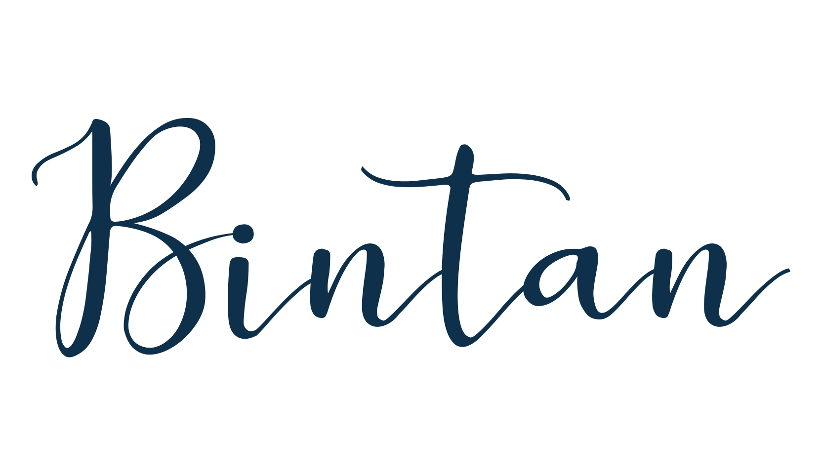 Bintan, script calligraphy fancy decorative font preview