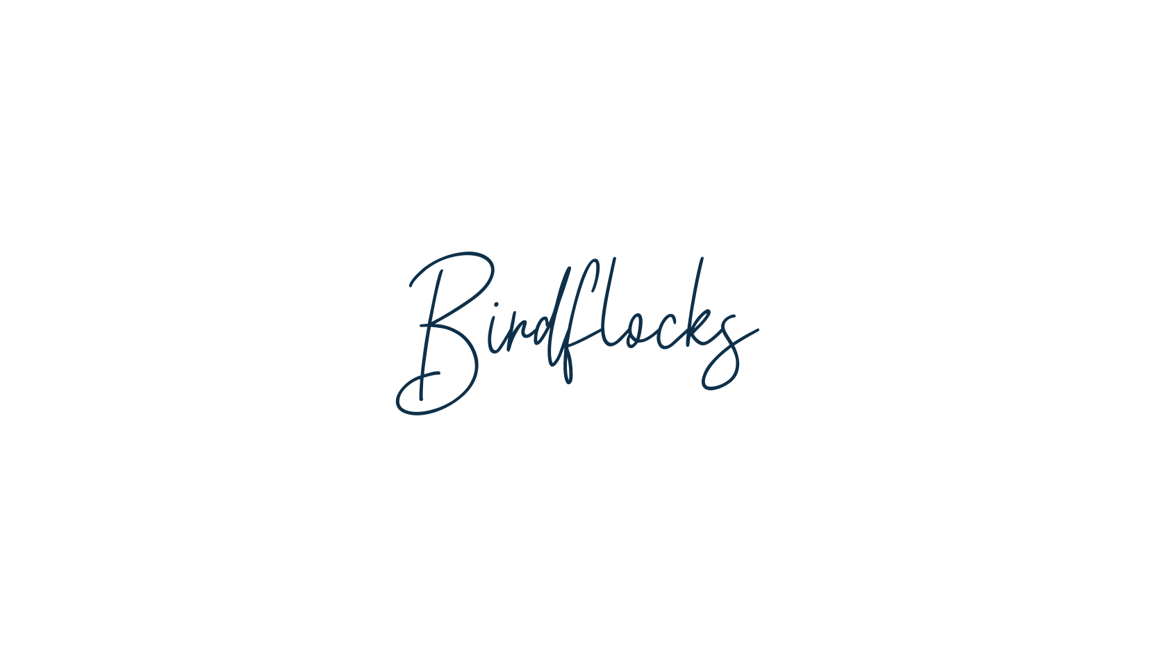 Birdflocks, script handwritten fancy decorative calligraphy font preview