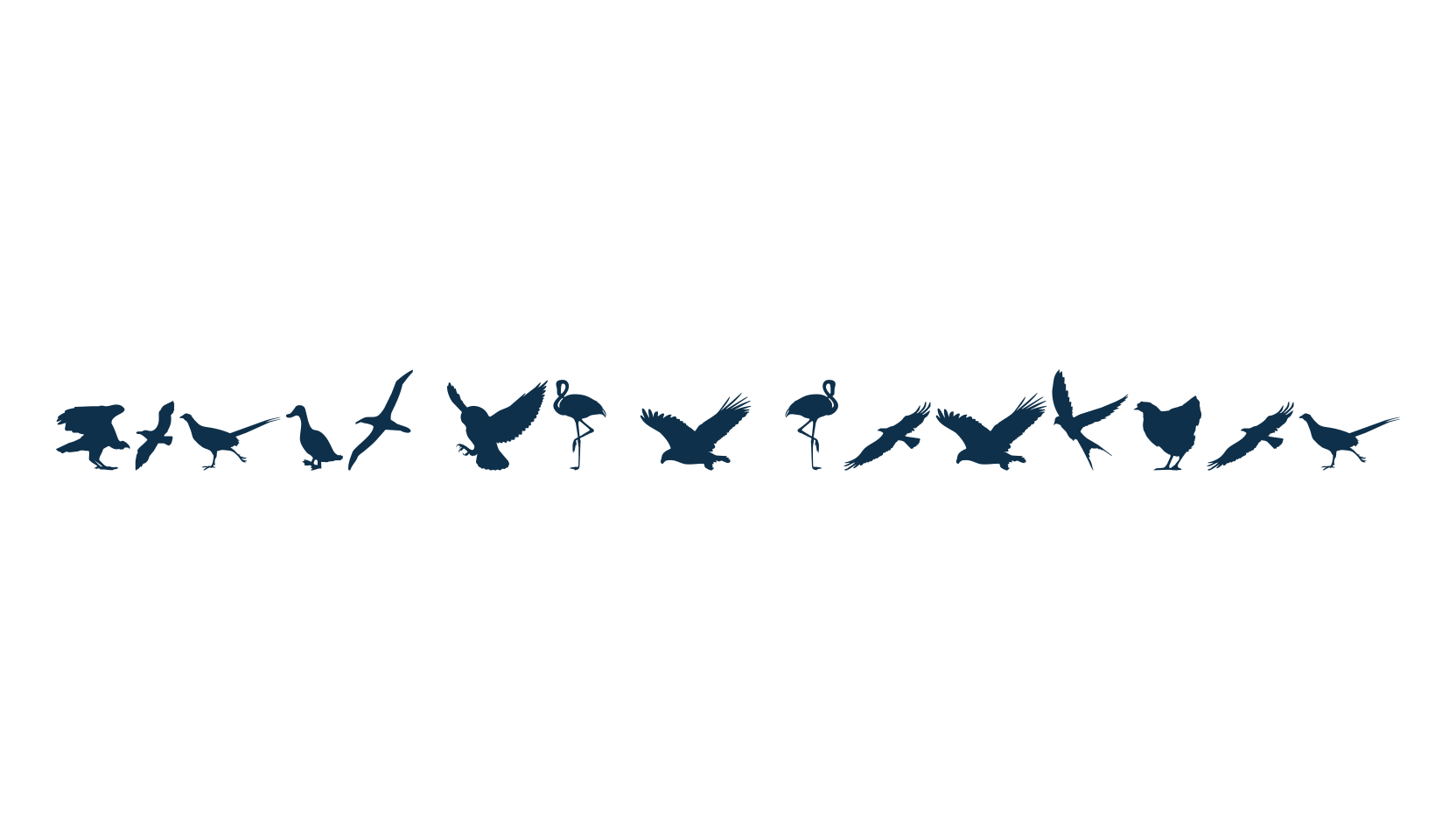 Birds of a Feather, fancy decorative font preview