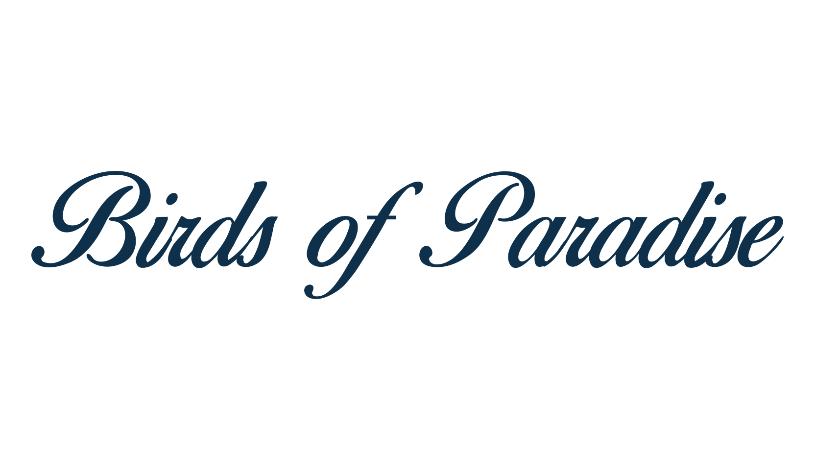 Birds of Paradise, calligraphy font preview