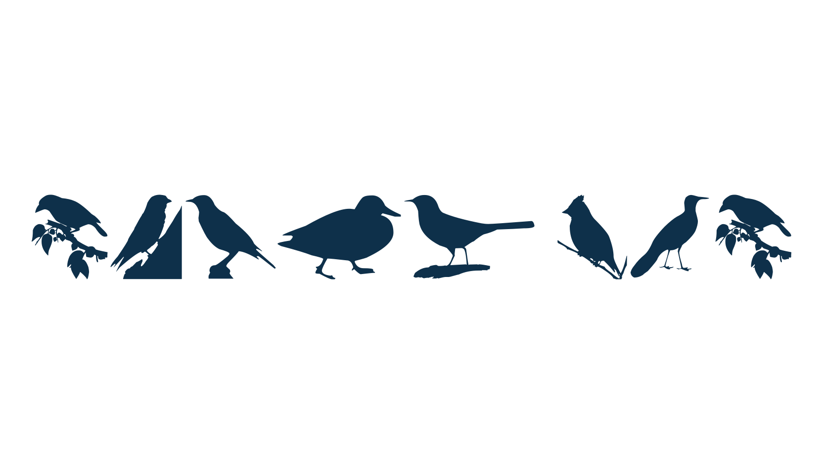 Birds TFB, display market font preview
