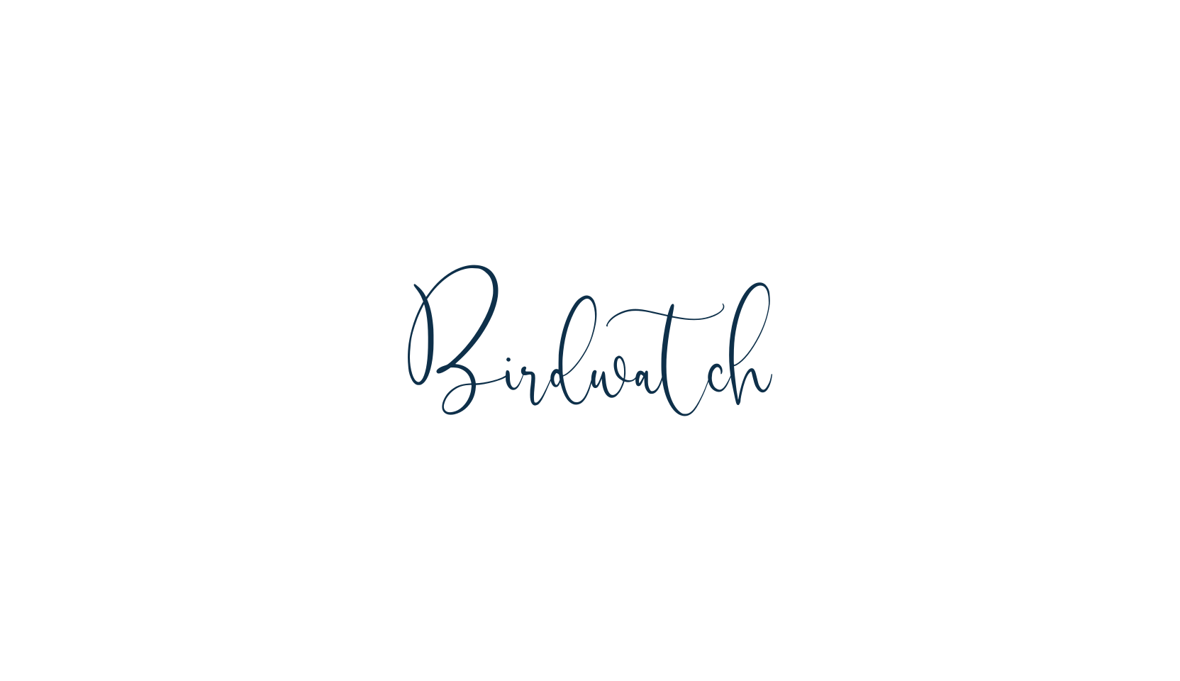 Birdwatch, script calligraphy fancy decorative font preview
