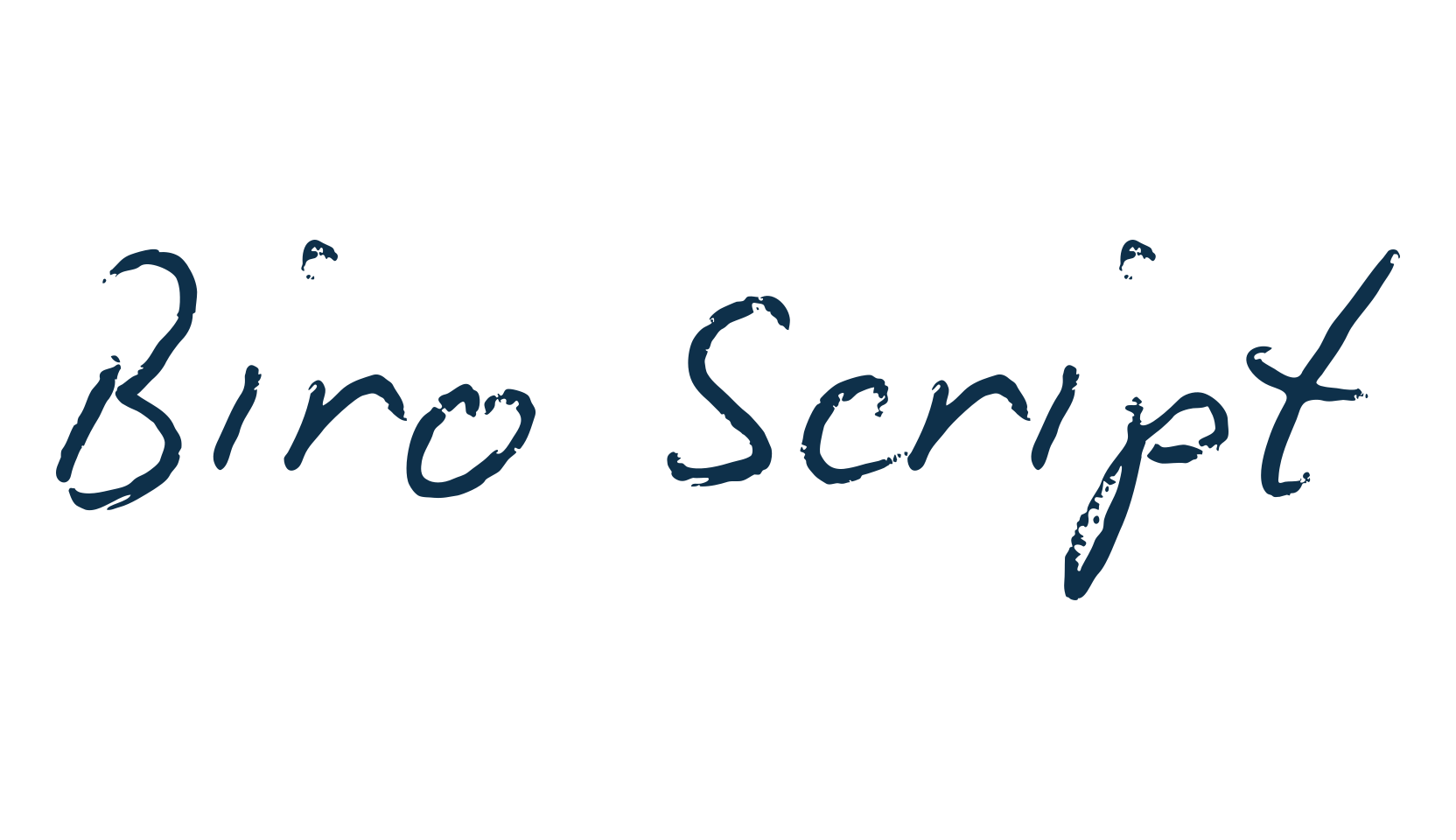 Biro Script, script handwritten fancy decorative calligraphy font preview
