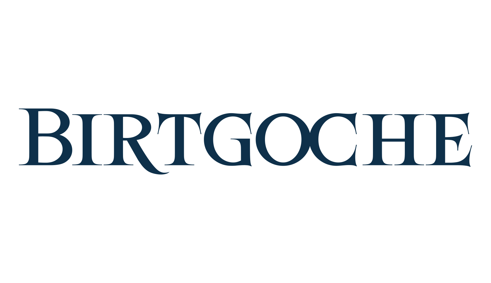 Birtgoche, basic serif font preview