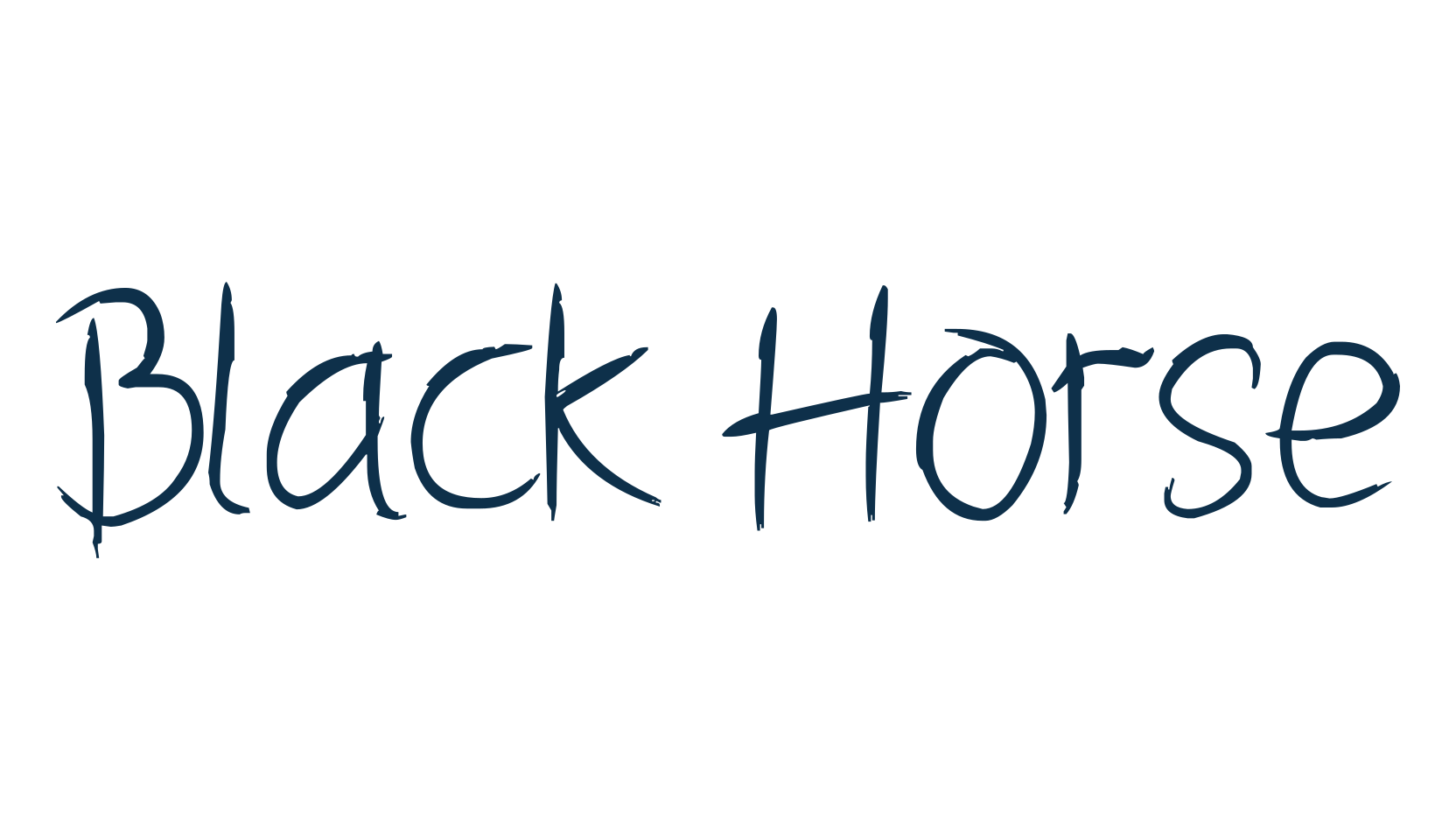 Black Horse, script handwritten fancy decorative calligraphy font preview