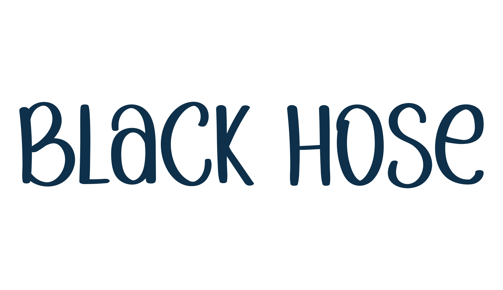 Black Hose, script handwritten fancy decorative calligraphy font preview