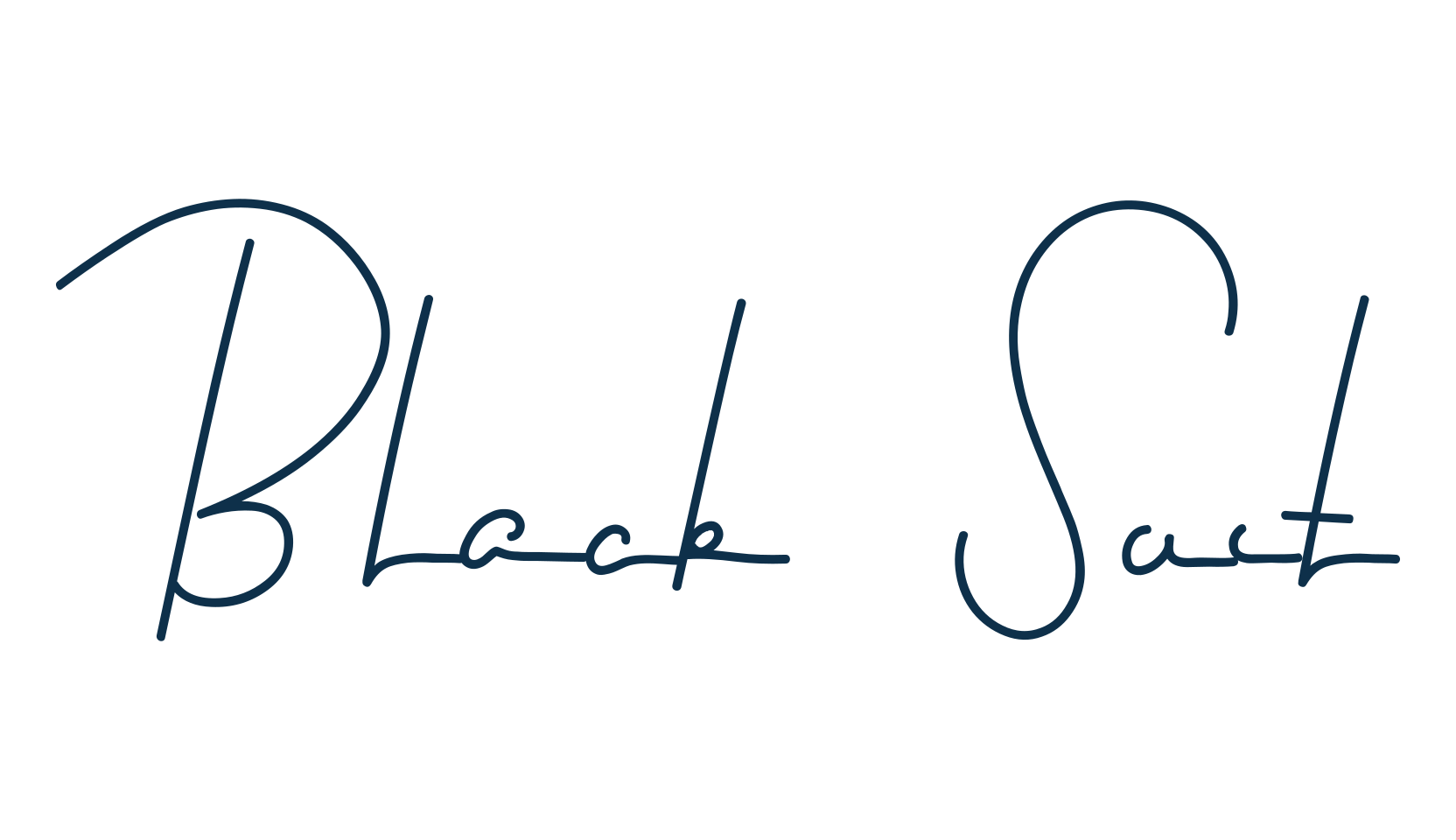 Black Suit, script handwritten fancy decorative calligraphy font preview