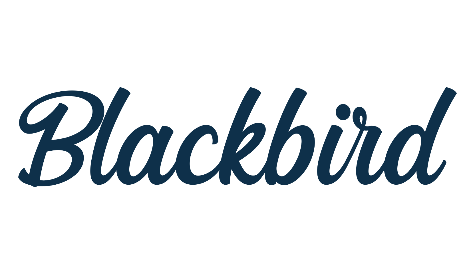 Blackbird, calligraphy font preview
