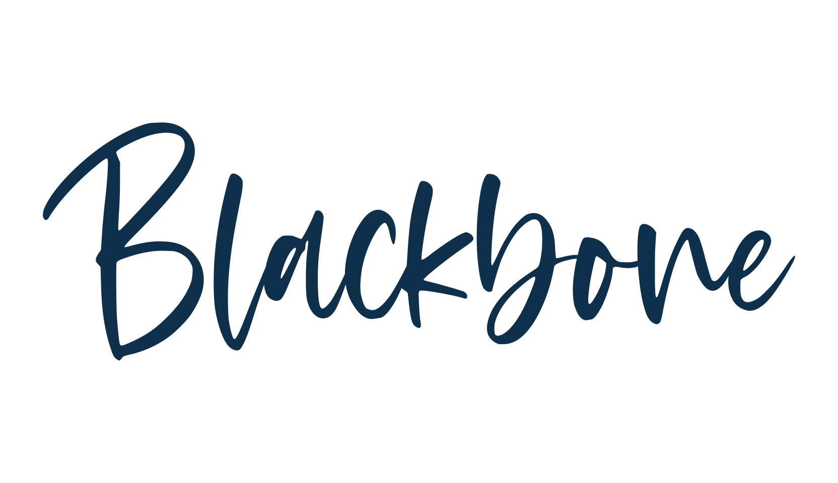 Blackbone, script handwritten fancy decorative calligraphy font preview