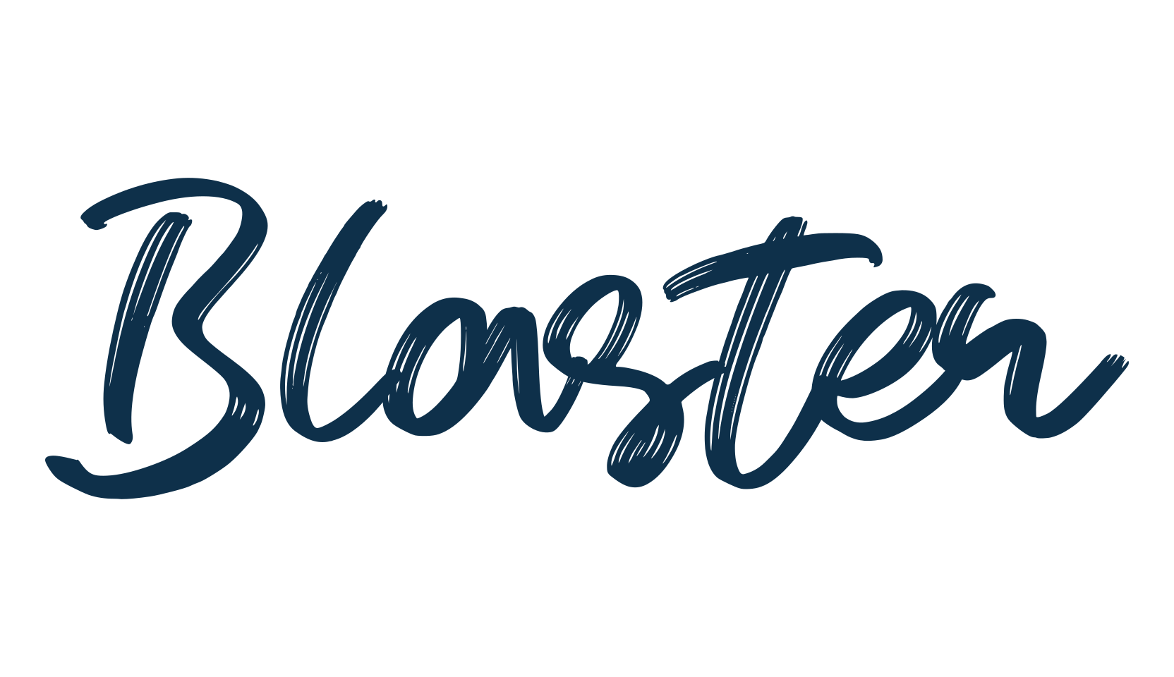 Blaster (blaster-3), script handwritten fancy decorative calligraphy font preview