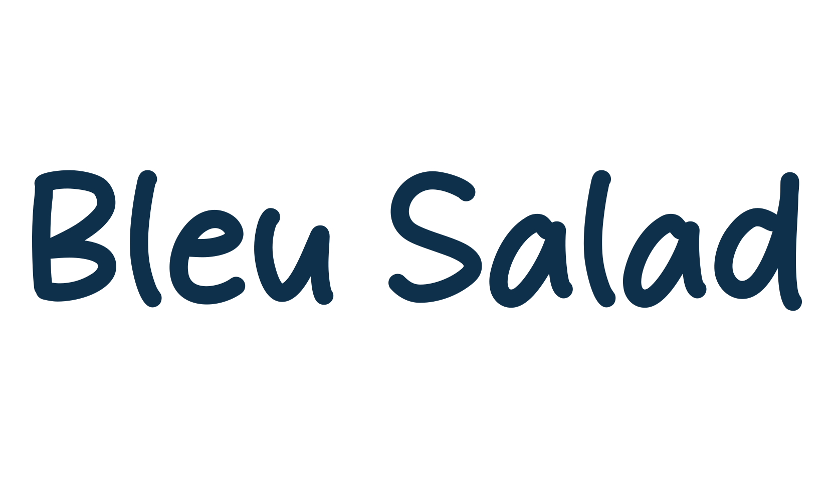 Bleu Salad, script handwritten fancy decorative calligraphy font preview