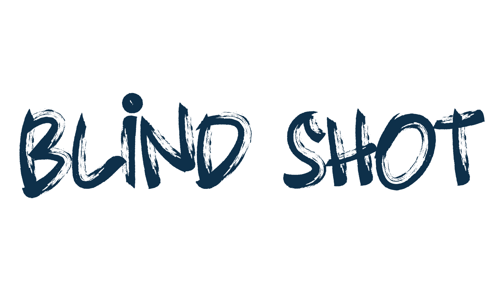 Blind Shot, script brush fancy decorative calligraphy font preview