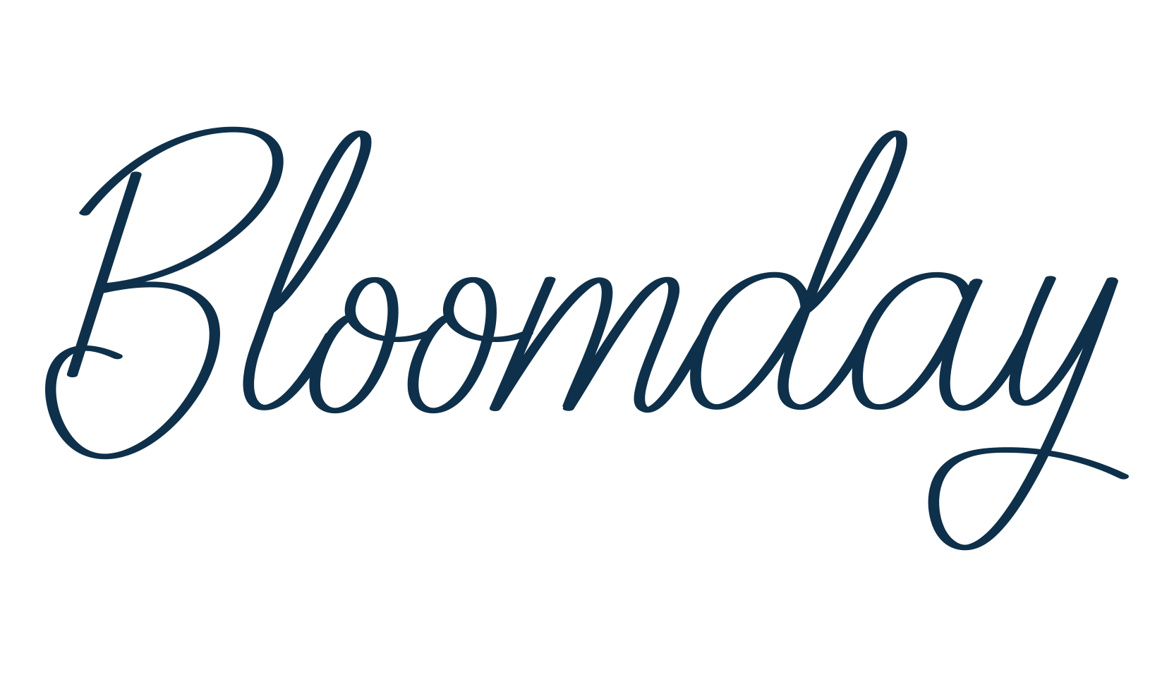 Bloomday, script handwritten fancy decorative calligraphy font preview