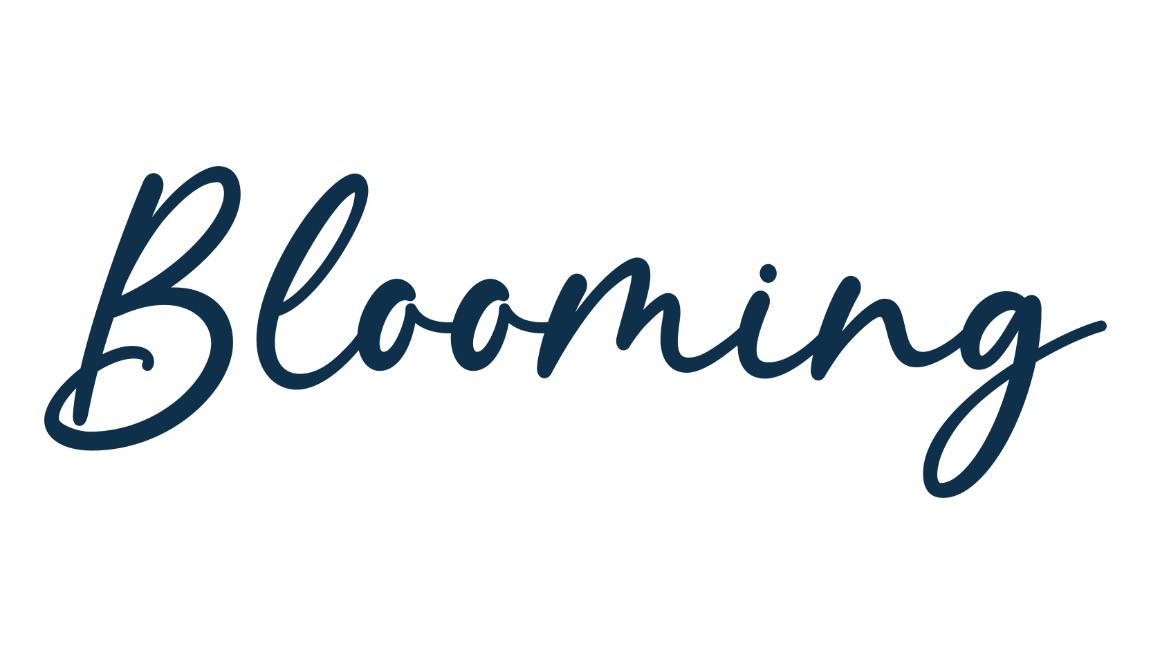 Blooming, script handwritten fancy decorative calligraphy font preview