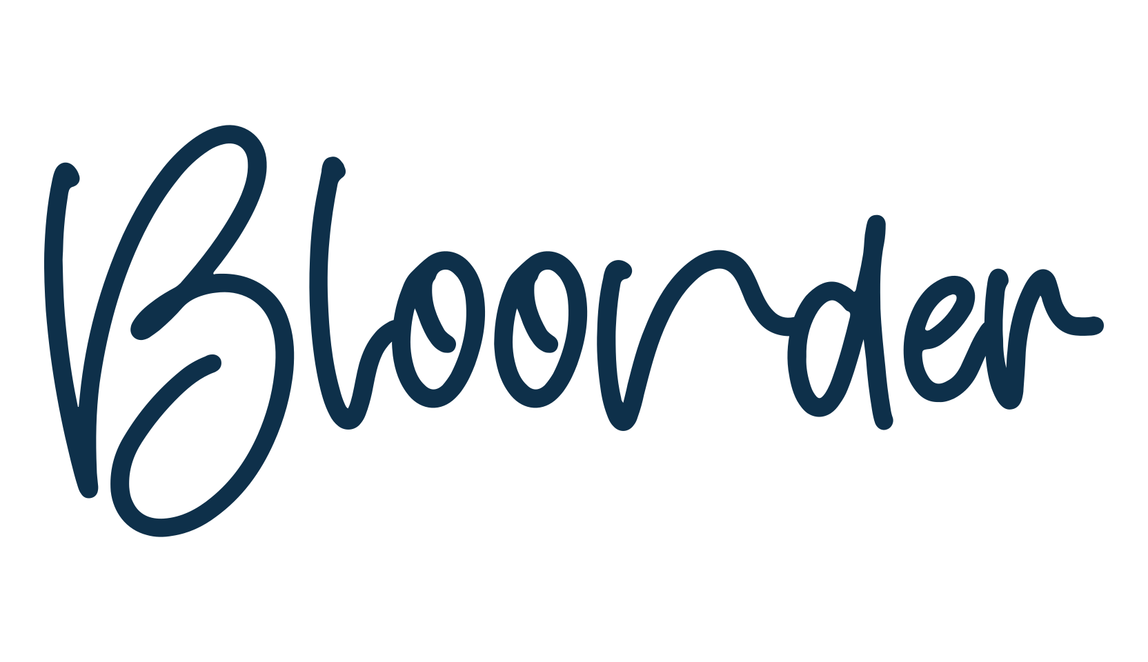 Bloonder, script handwritten fancy decorative calligraphy font preview