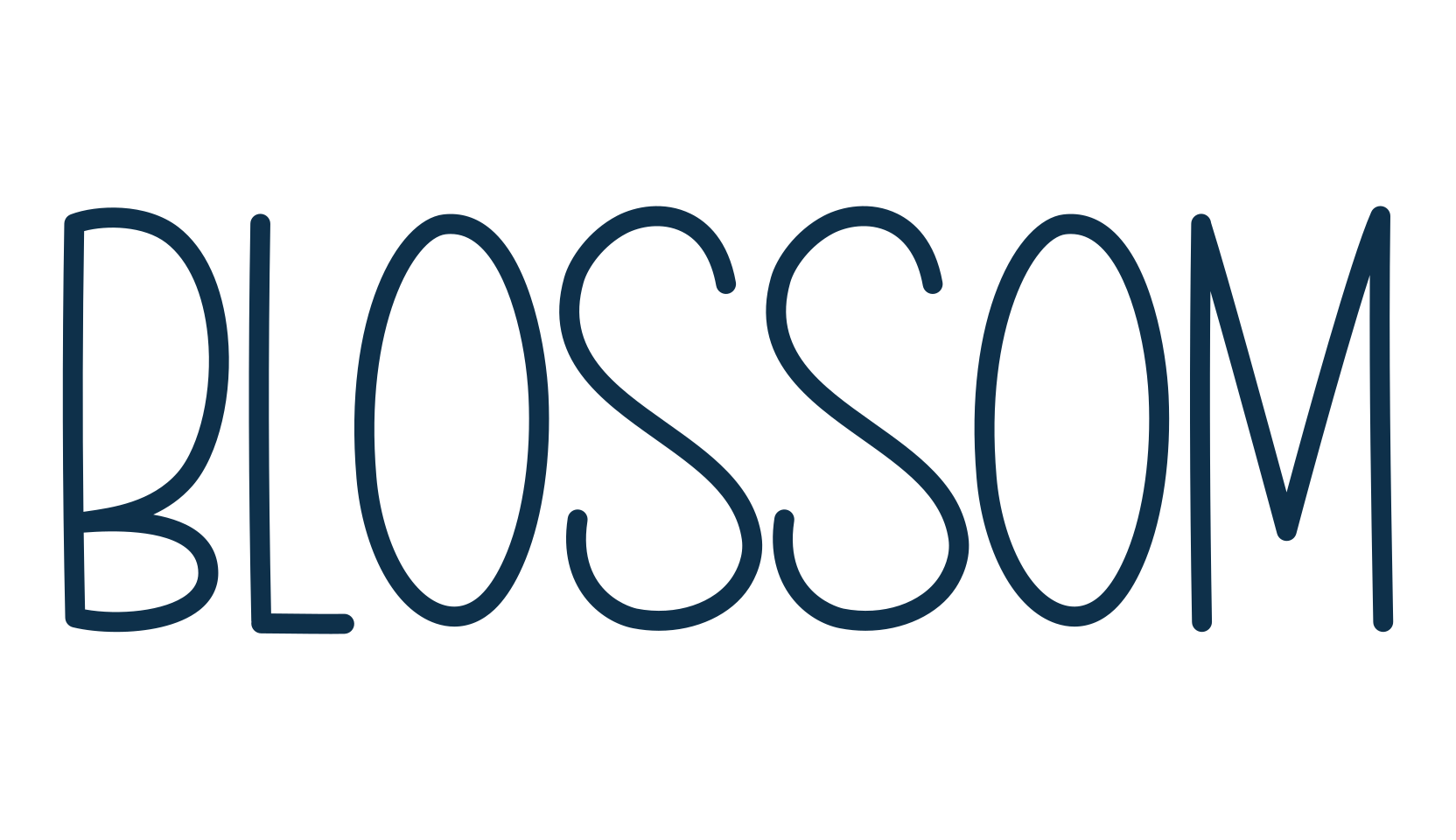 Blossom, script handwritten fancy decorative calligraphy font preview