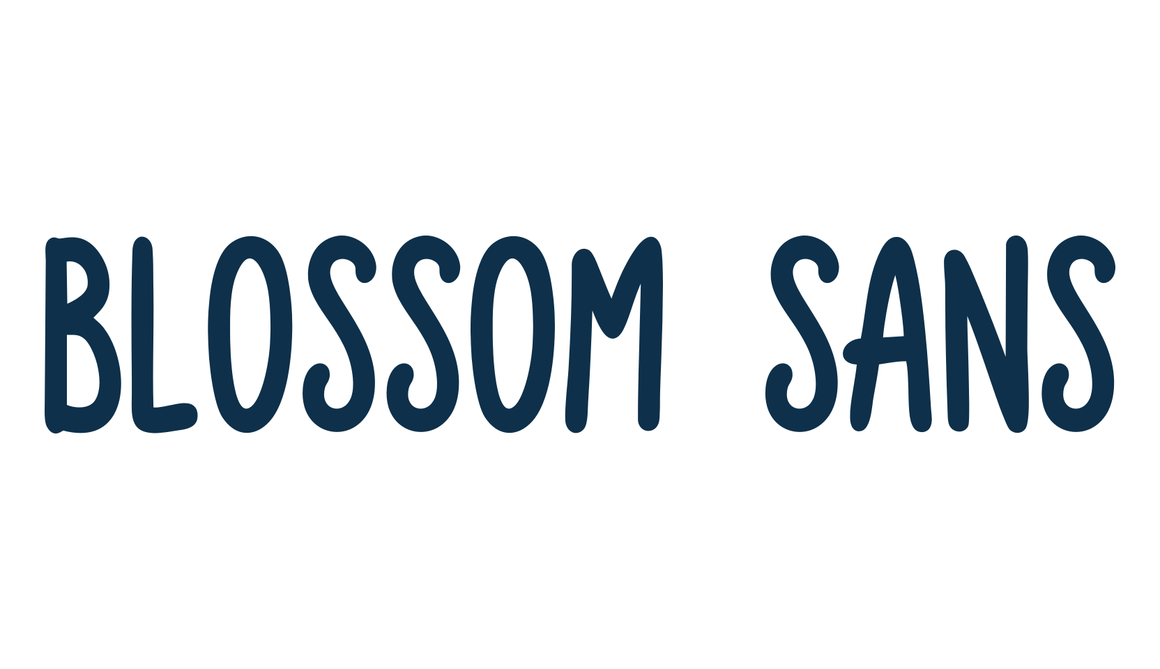 Blossom Sans, script handwritten fancy decorative calligraphy font preview