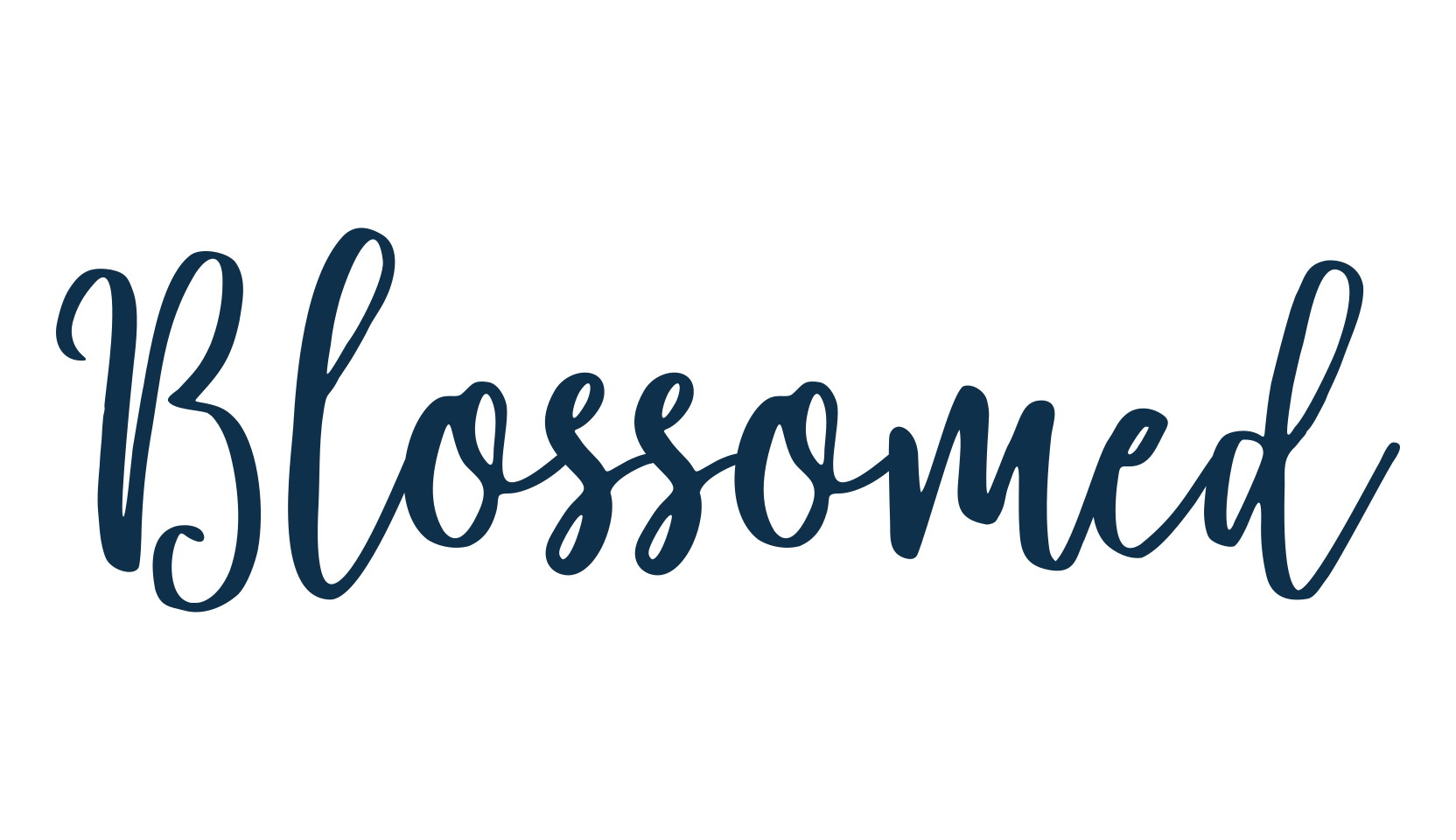Blossomed, script calligraphy fancy decorative font preview