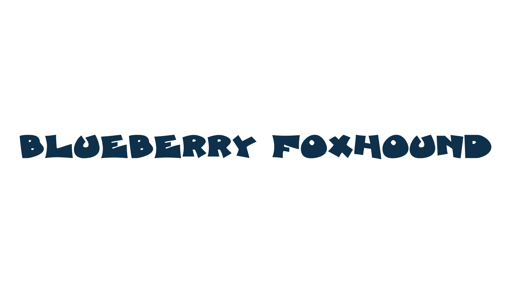 Blueberry Foxhound, fancy cartoon decorative font preview