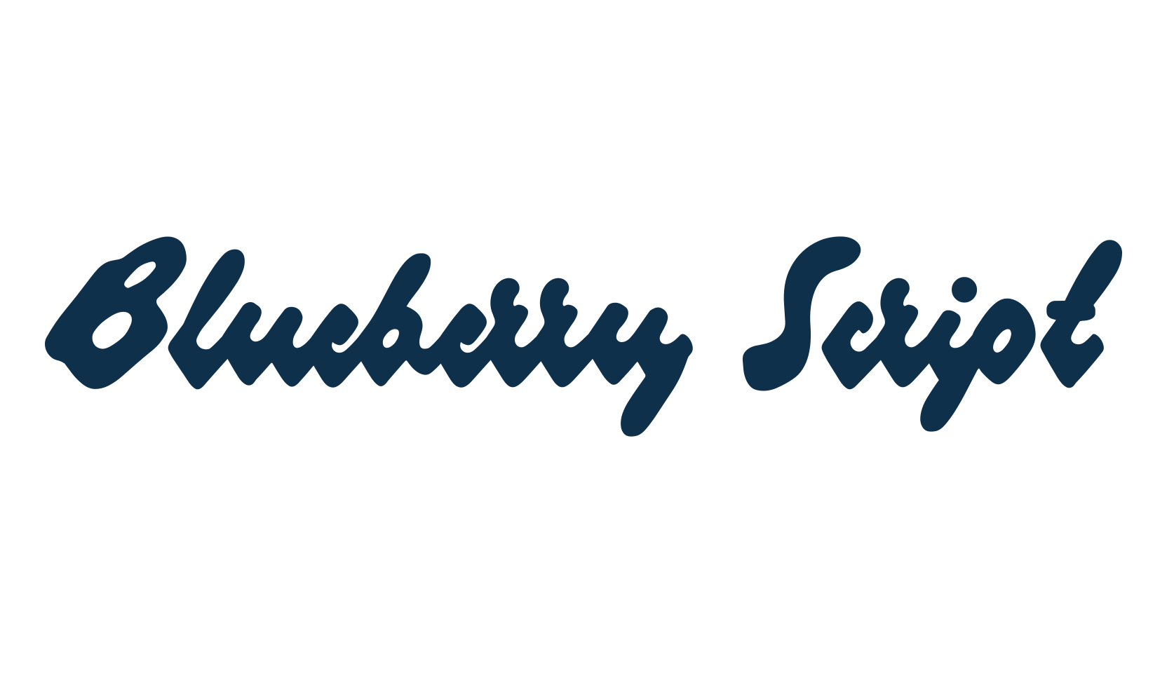 Blueberry Script, fancy various decorative script calligraphy font preview