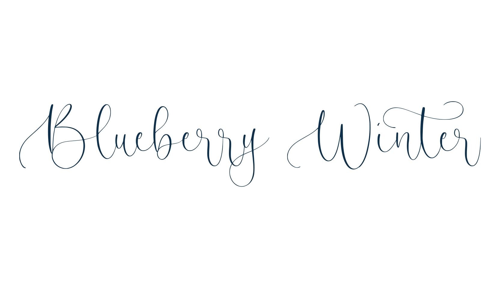 Blueberry Winter, script handwritten fancy decorative calligraphy font preview