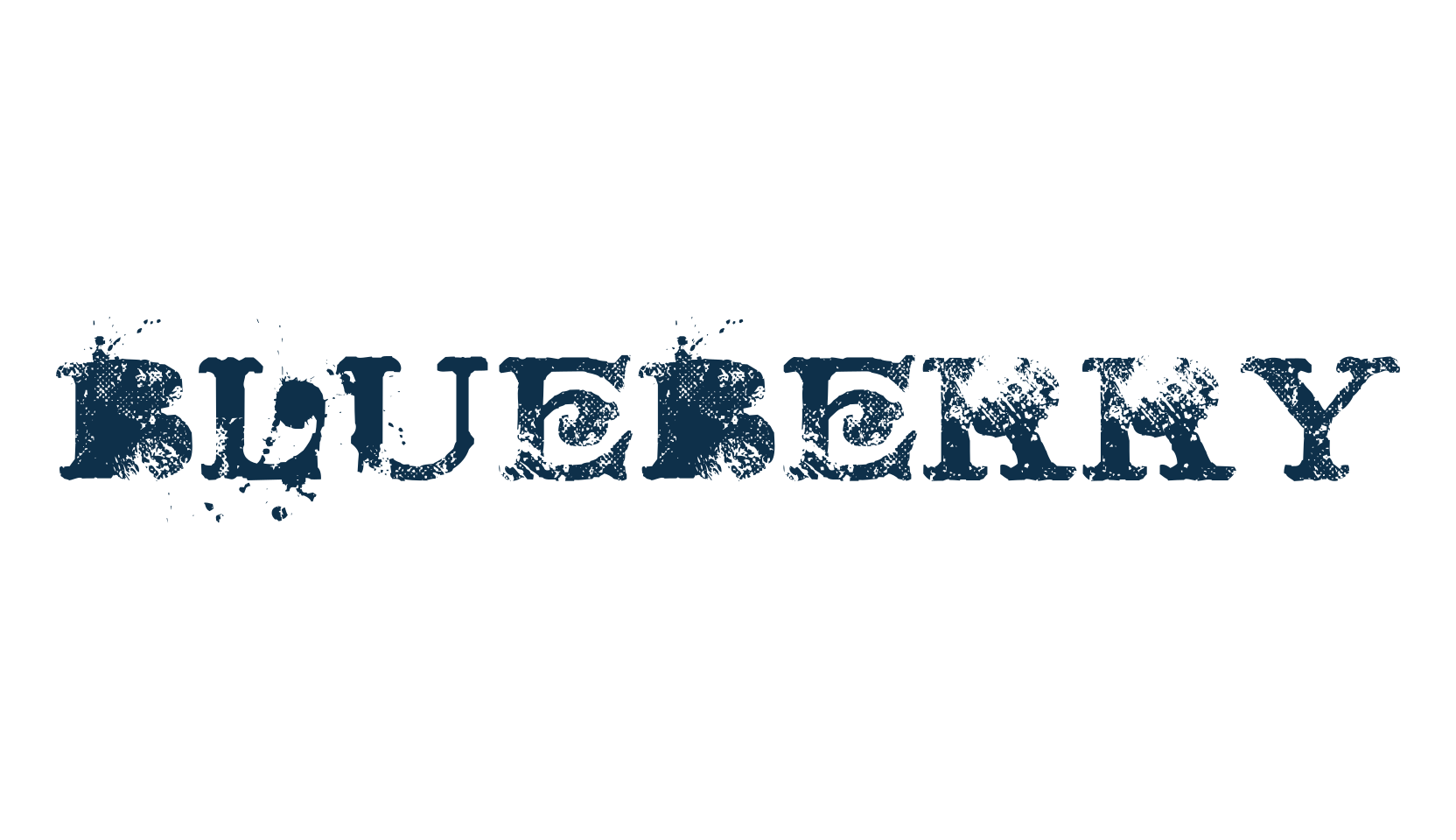 Blueberry, fancy destroy decorative font preview