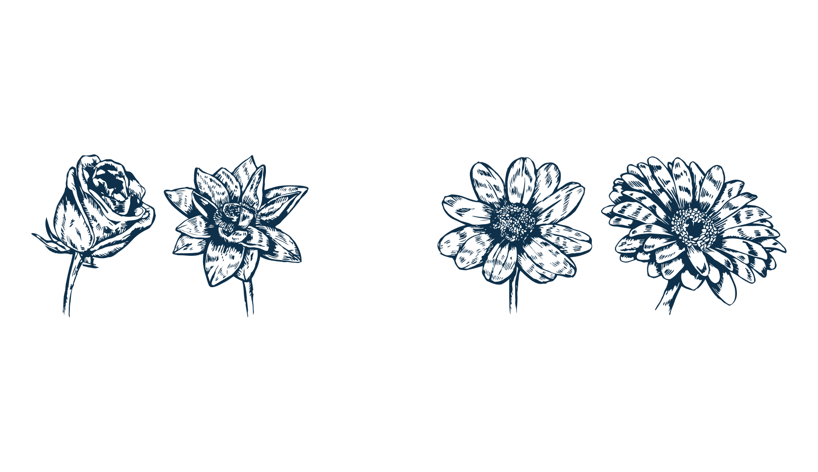 Blumen, fancy decorative font preview