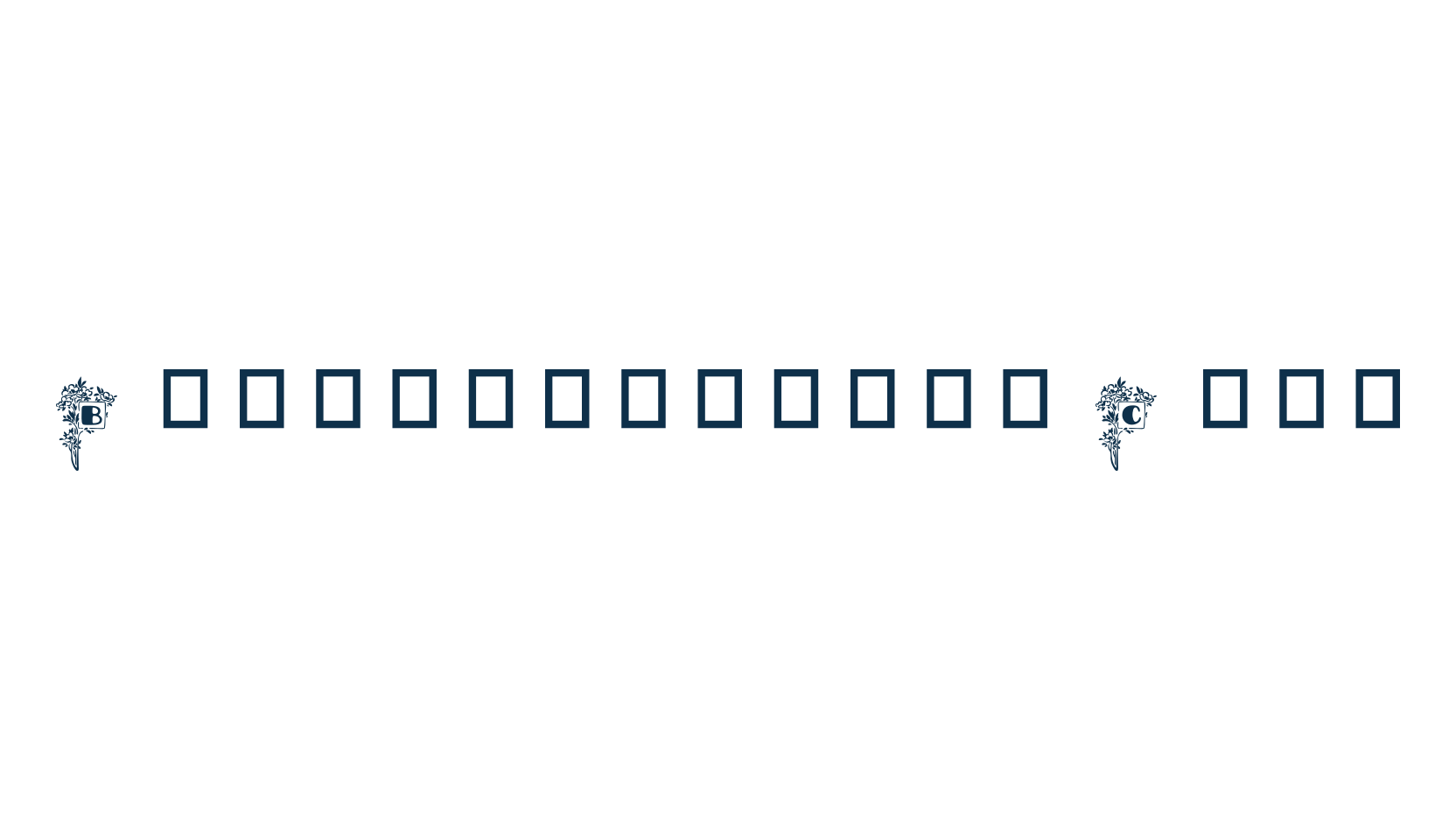 Blumenstrauss Caps, initials font preview