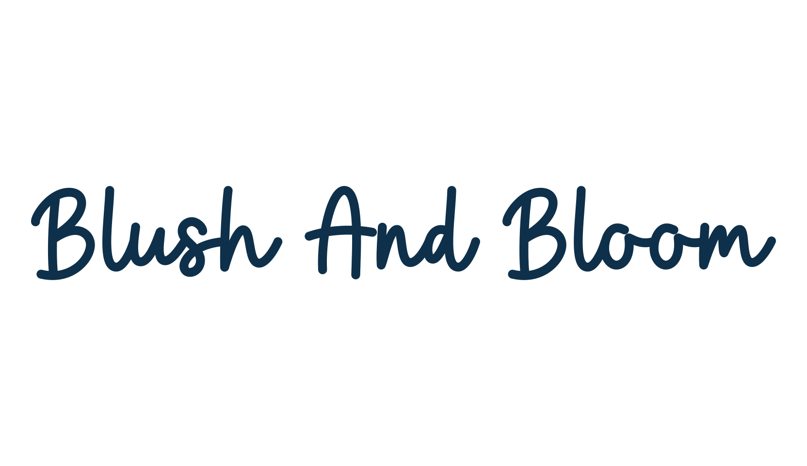 Blush And Bloom, fancy decorative font preview