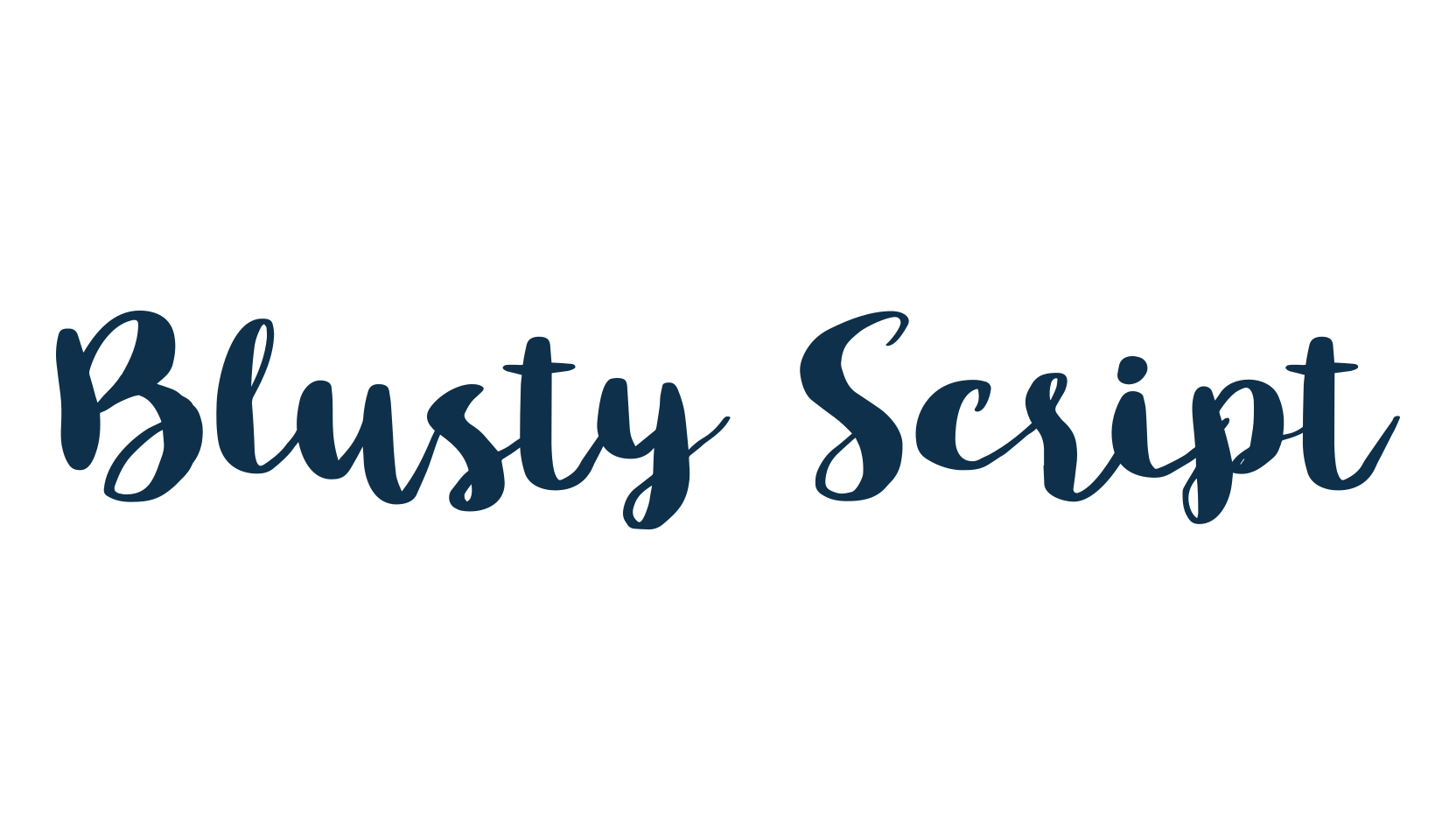 Blusty Script, script brush fancy decorative calligraphy font preview