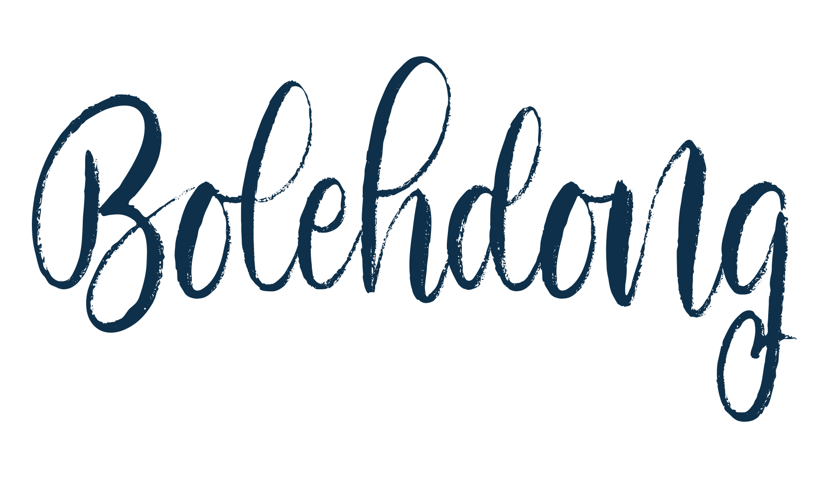 Bolehdong, script calligraphy fancy decorative font preview