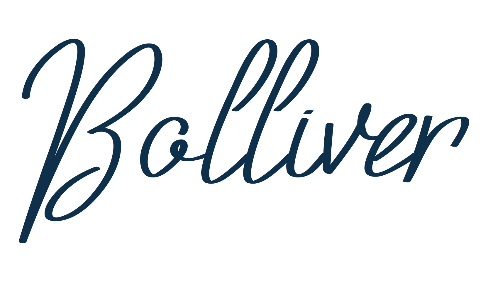 Bolliver, script handwritten fancy decorative calligraphy font preview