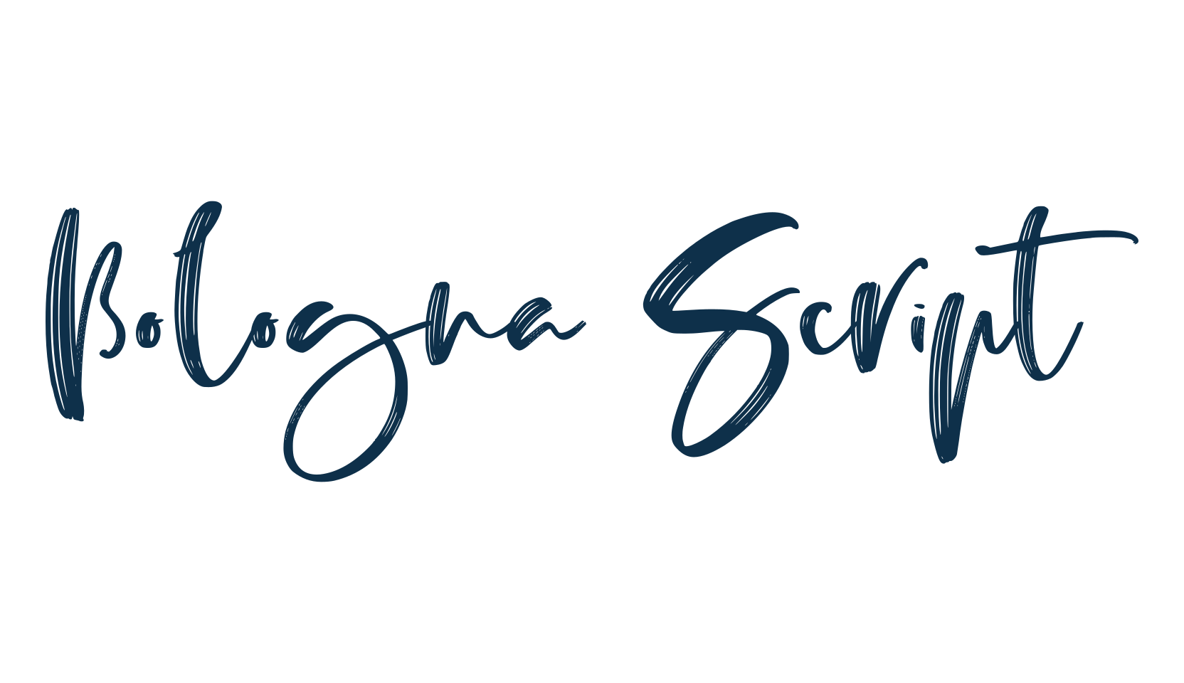 Bologna Script, brush font preview
