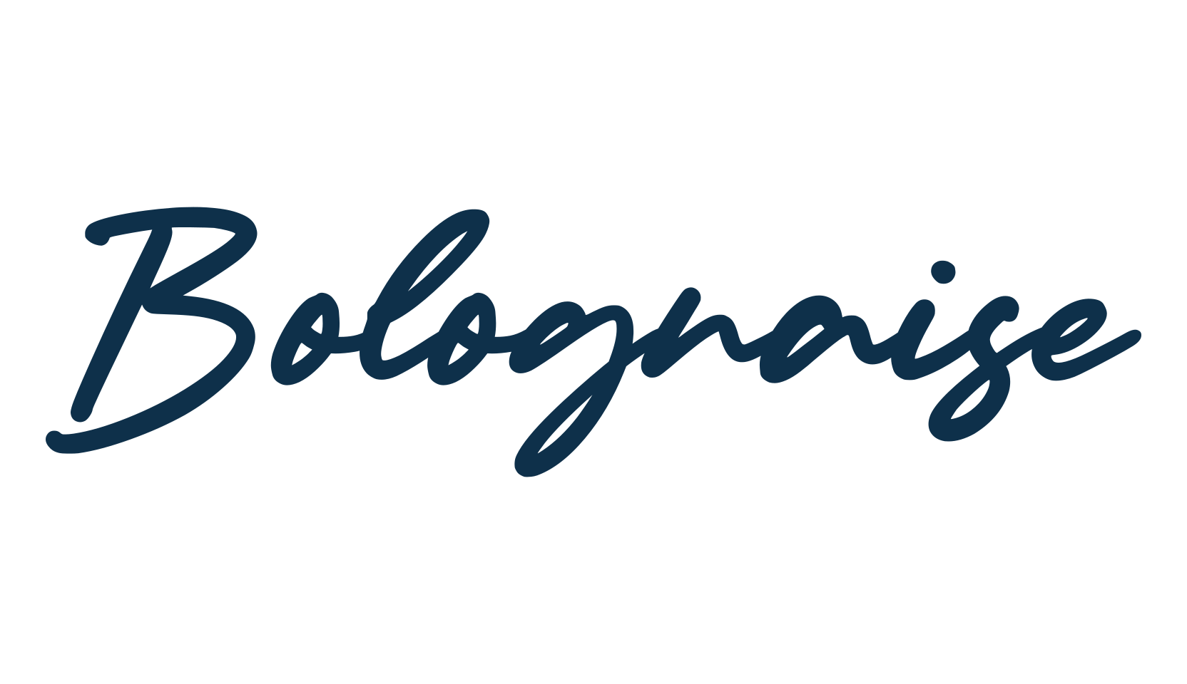Bolognaise, script handwritten fancy decorative calligraphy font preview