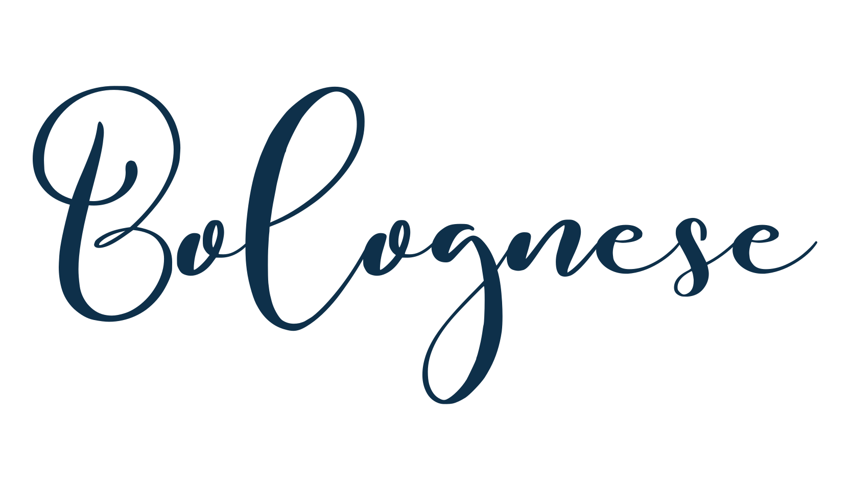 Bolognese, script calligraphy fancy decorative font preview