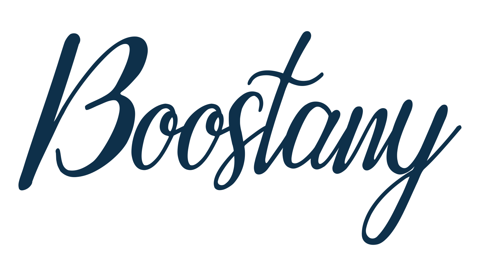 Boostany, fancy various decorative script calligraphy font preview