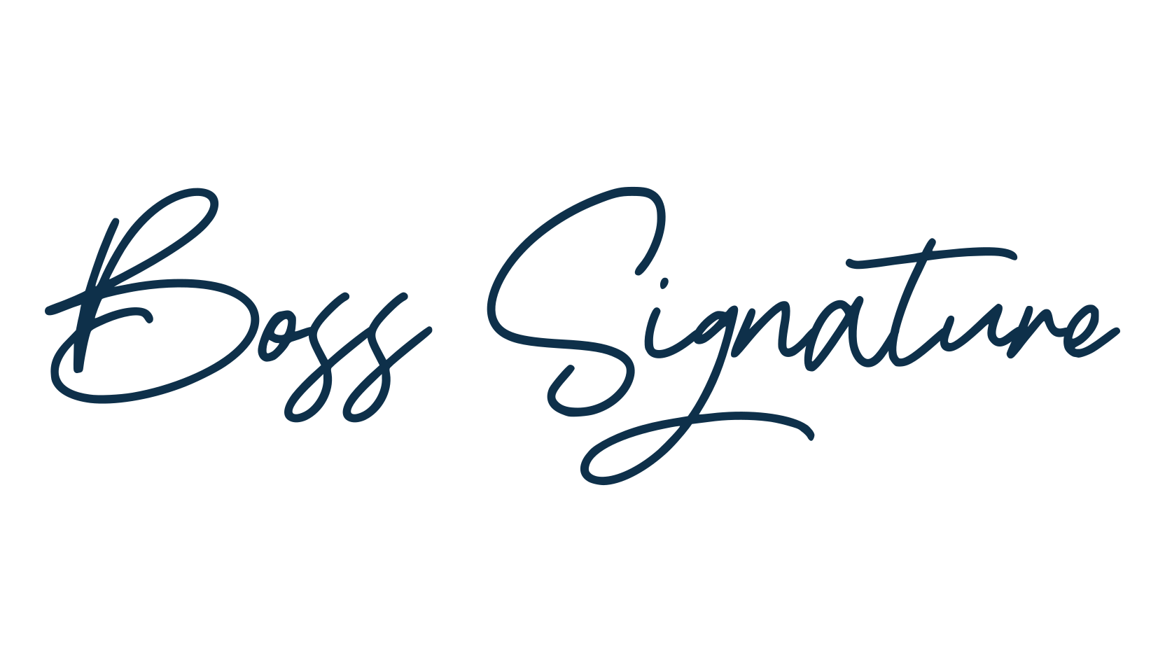 Boss Signature, script handwritten fancy decorative calligraphy font preview