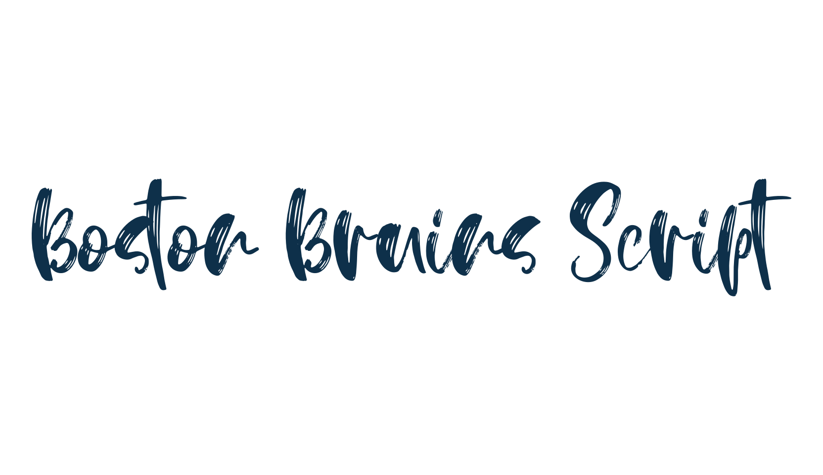Boston Bruins Script, script brush fancy decorative calligraphy font preview