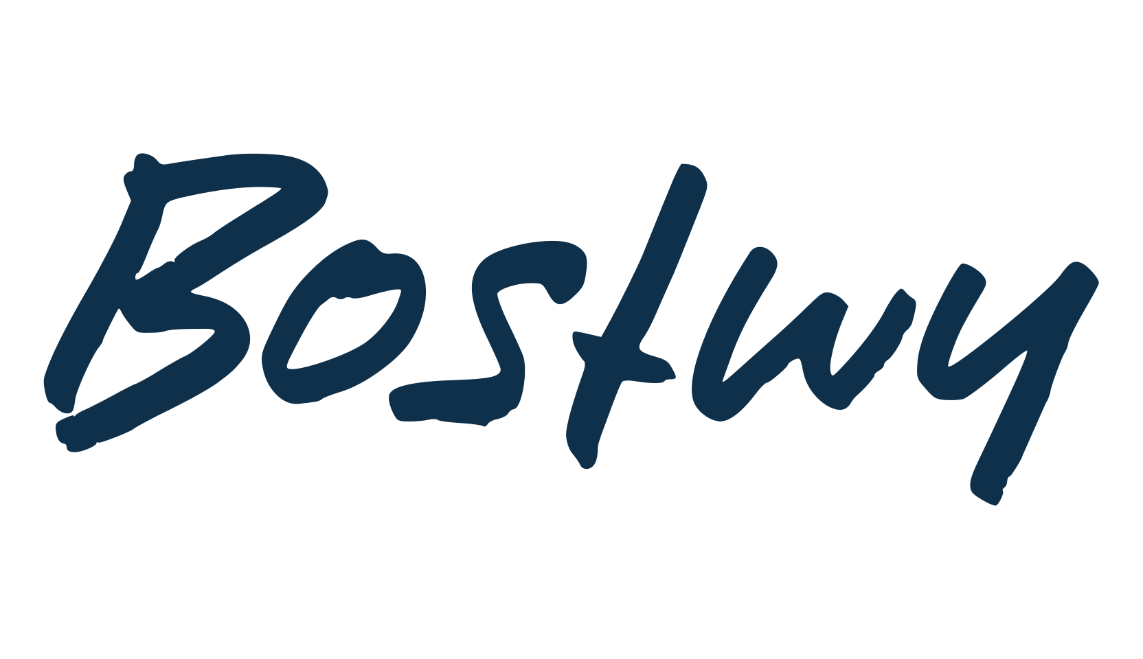 Bostwy, script handwritten fancy decorative calligraphy font preview