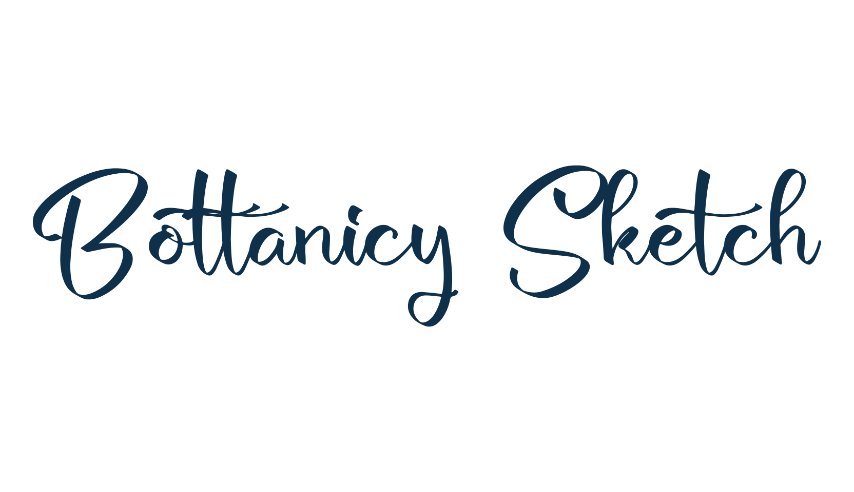 Bottanicy Sketch, script handwritten fancy decorative calligraphy font preview