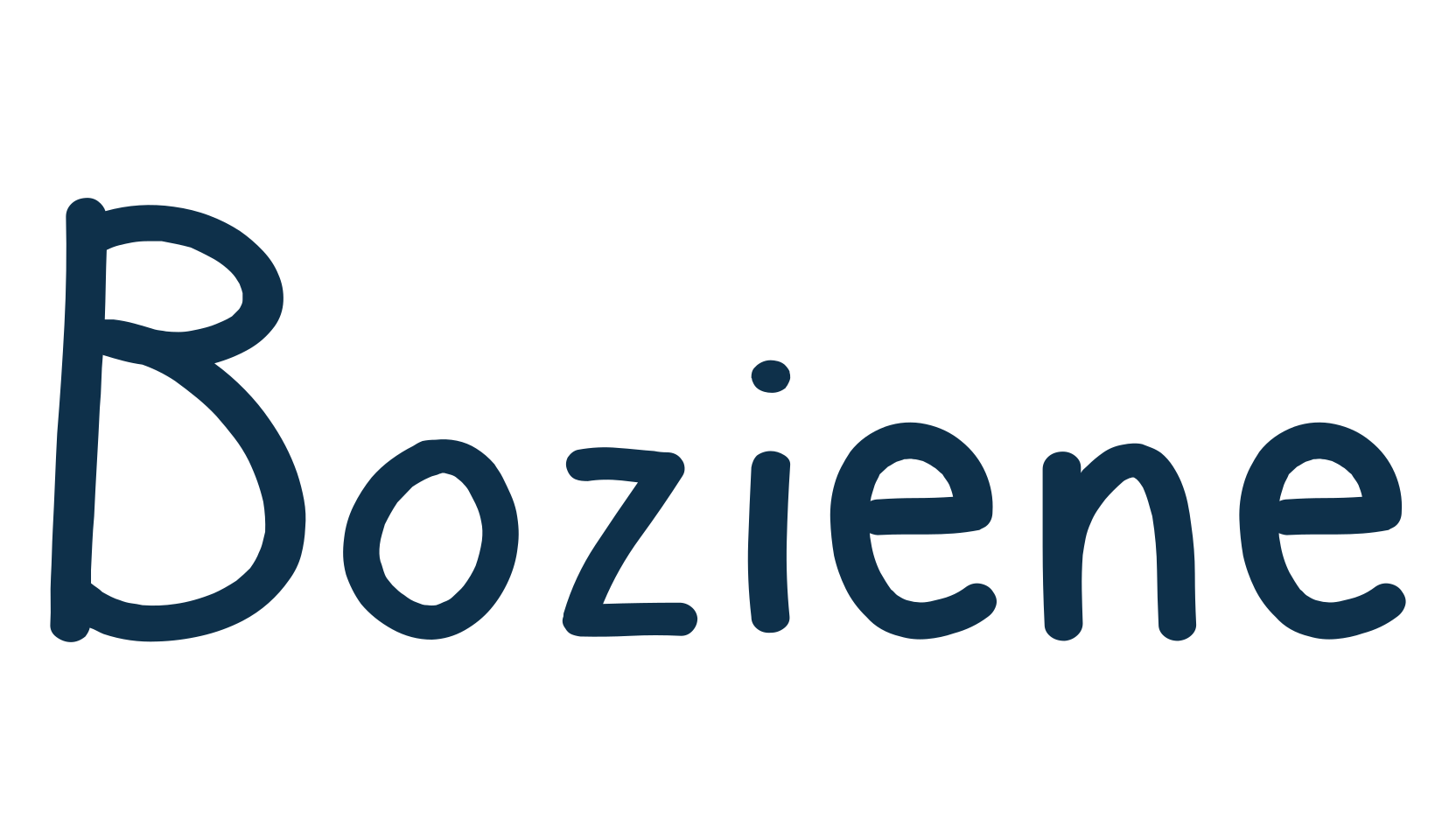 Boziene, script handwritten fancy decorative calligraphy font preview