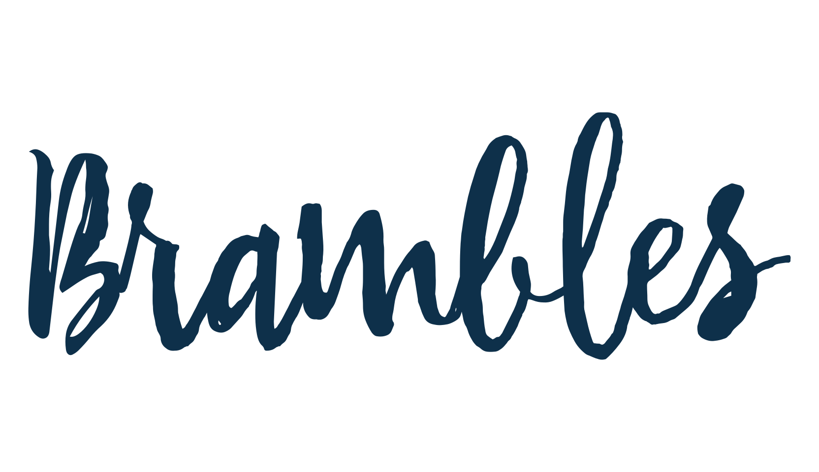 Brambles, script brush fancy decorative calligraphy font preview