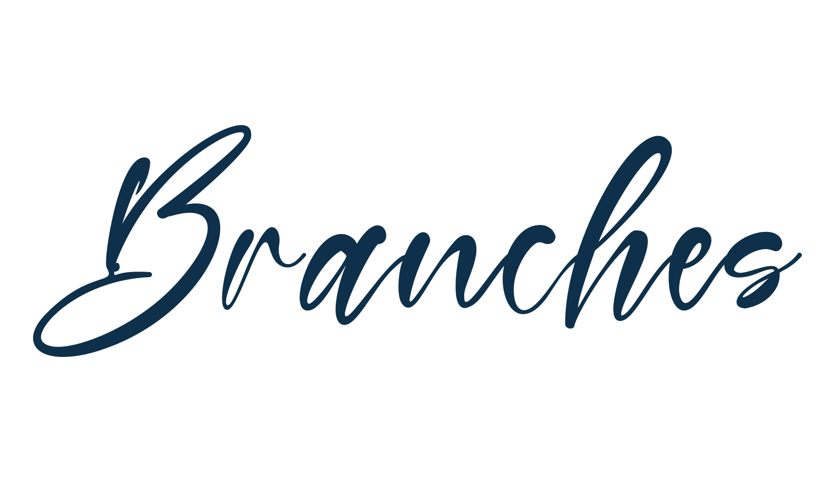 Branches, script calligraphy fancy decorative font preview