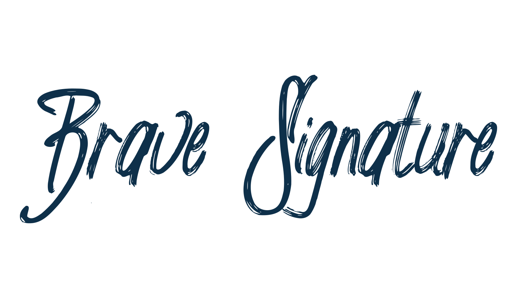 Brave Signature, script brush fancy decorative calligraphy font preview