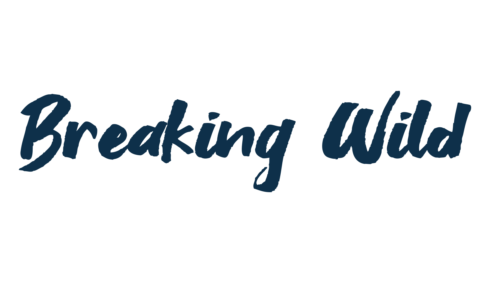 Breaking Wild, script brush fancy decorative calligraphy font preview